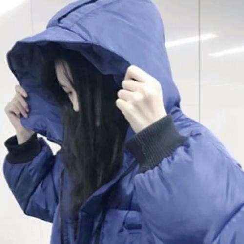 2012手机免费观看视频