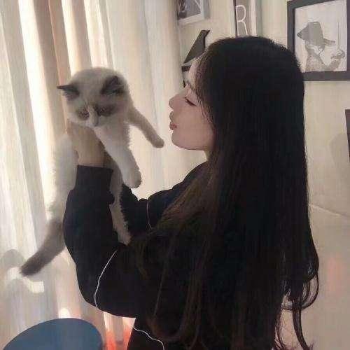 擒賊先擒王？