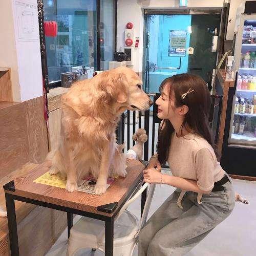 仙師儒修之師