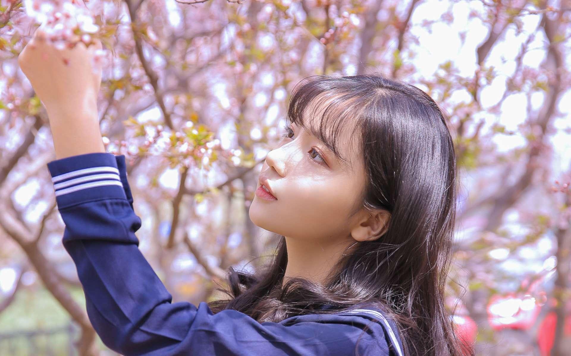 ，主菜