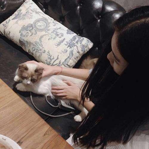 一个朋友的妈妈免费观看