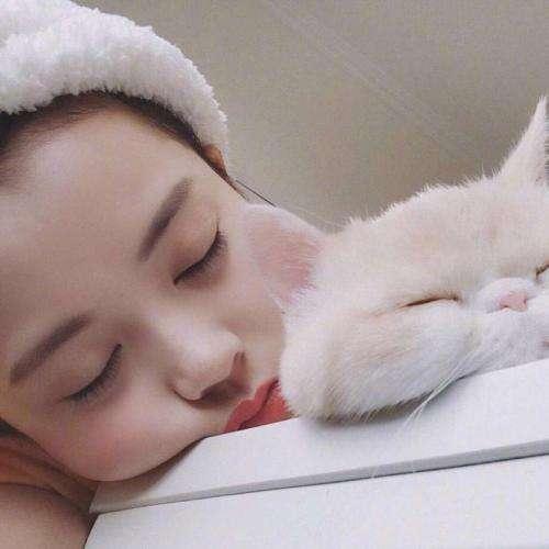 一吻定情2在线观看免费完整版