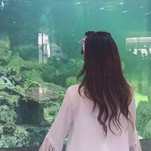 顯示價值