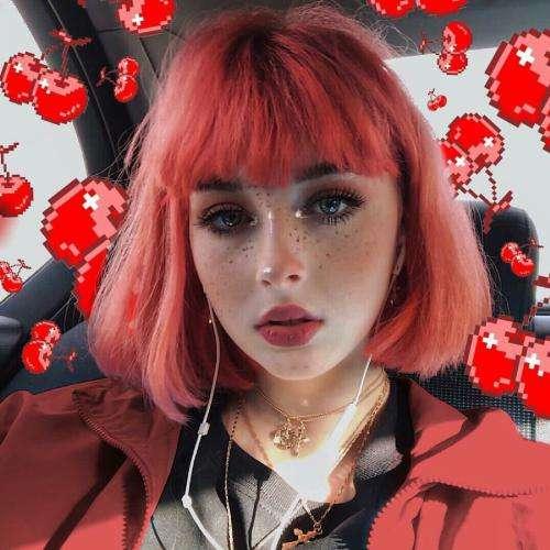趙嘉淇的成績