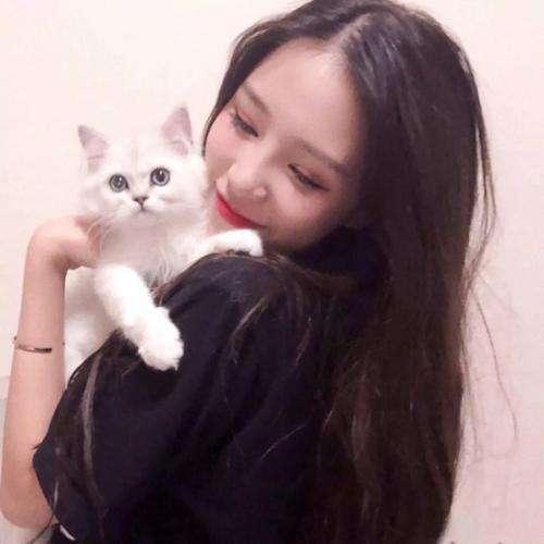 轉輪王