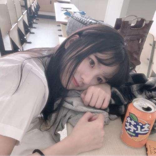 :野荒山脈