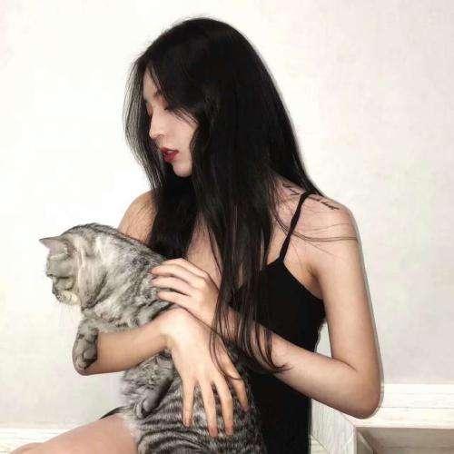 亲爱的律师大人短剧免费观看