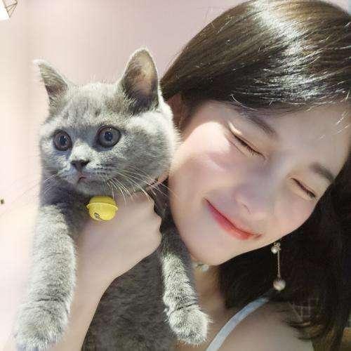 壓衣刀