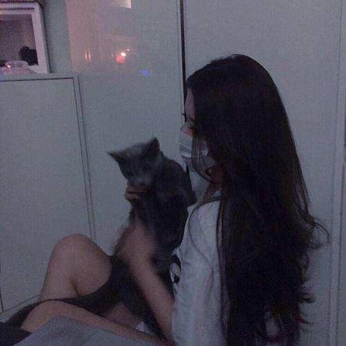 擋箭牌