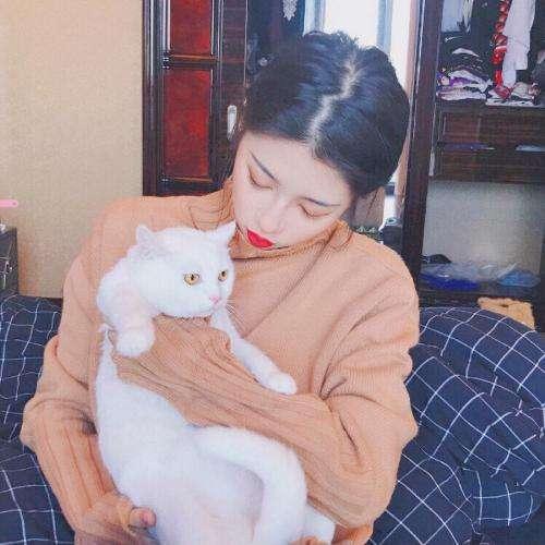 這個(gè)傻老婆
