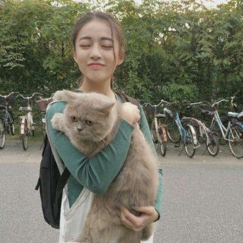 敖圣的機會