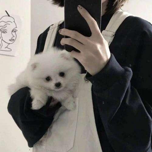 截天九式