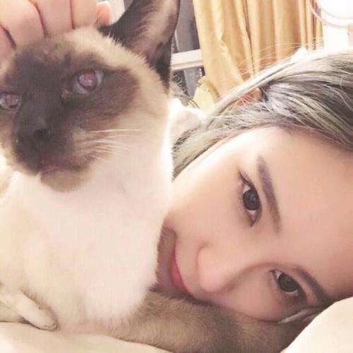 林嘉莉：他怎么會是我的新老板？！
