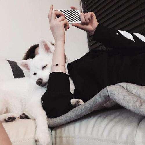 冰爪猴