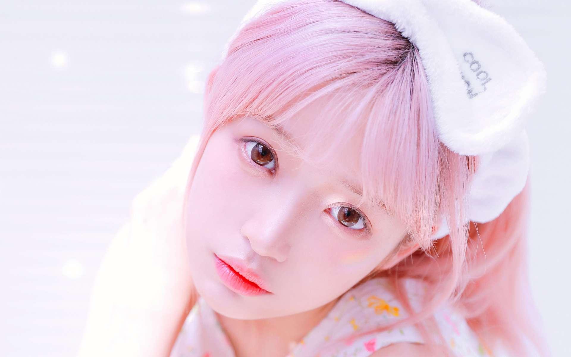 文曲戰飛羽倪空獸