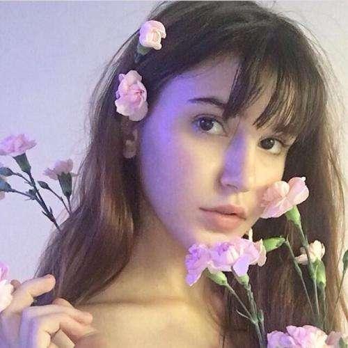 摘取歸田花(四)