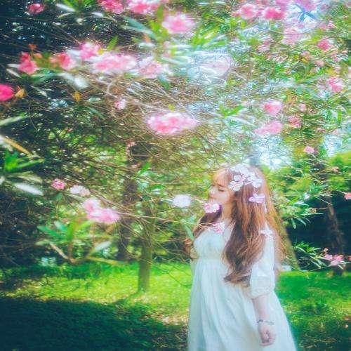 真香回頭草