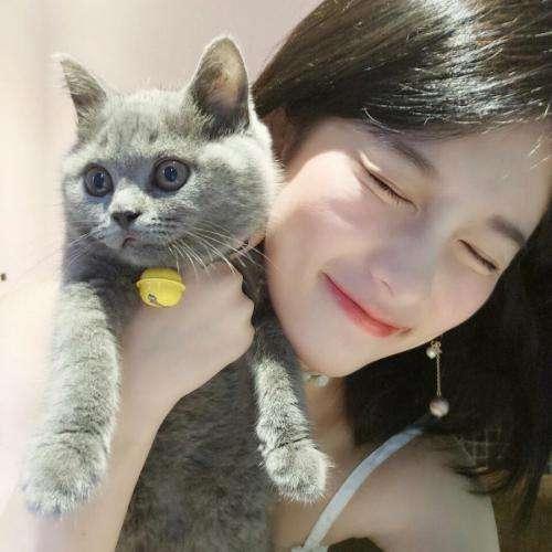 千絕域動蕩
