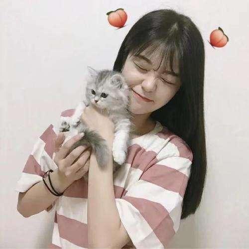 開除唐微晴(一)