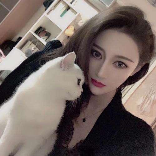 无人之岛教程视频全集在线观看高清
