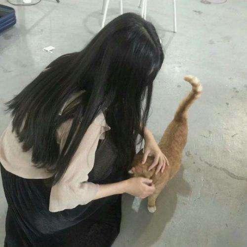 无遮挡边做边爱边做边爱免费