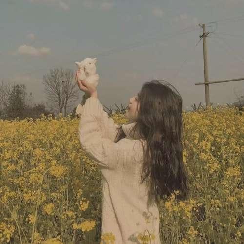 棄劍
