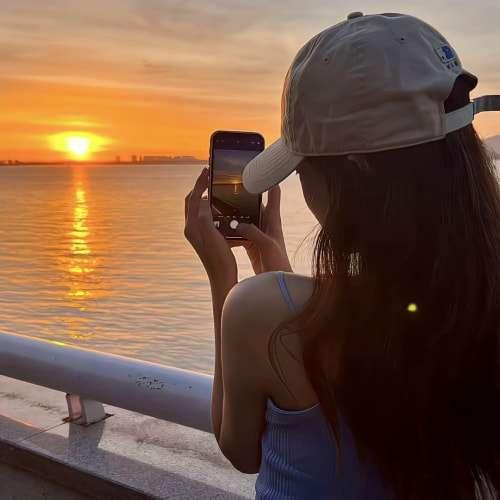 不是真相的真相