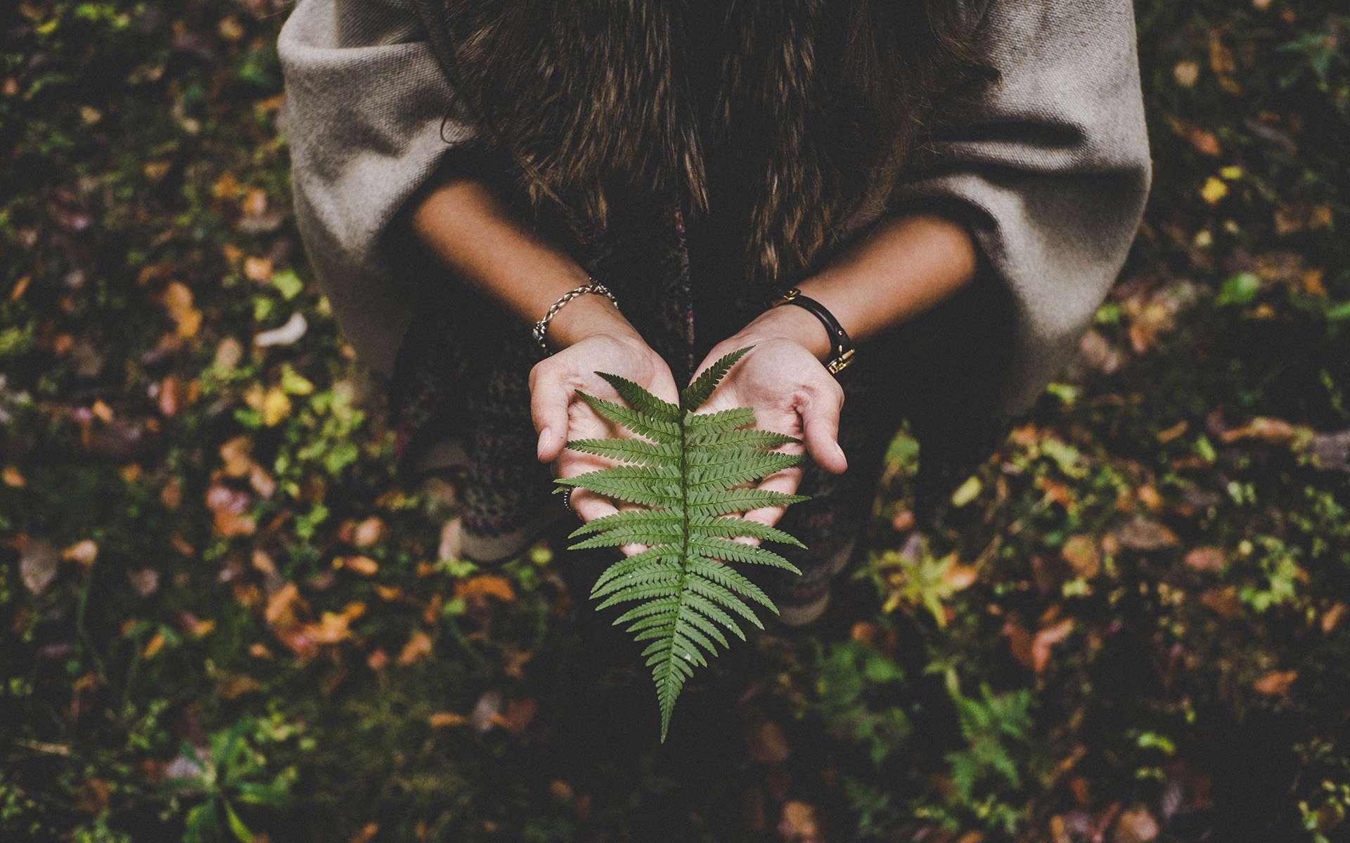 太后帶人捉拿刺客？簡直荒謬