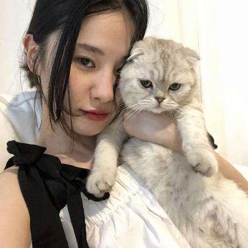 不相上下的對(duì)手！