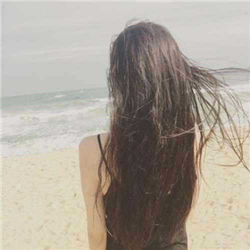 流浪地球2在线观看完整免费高清中文