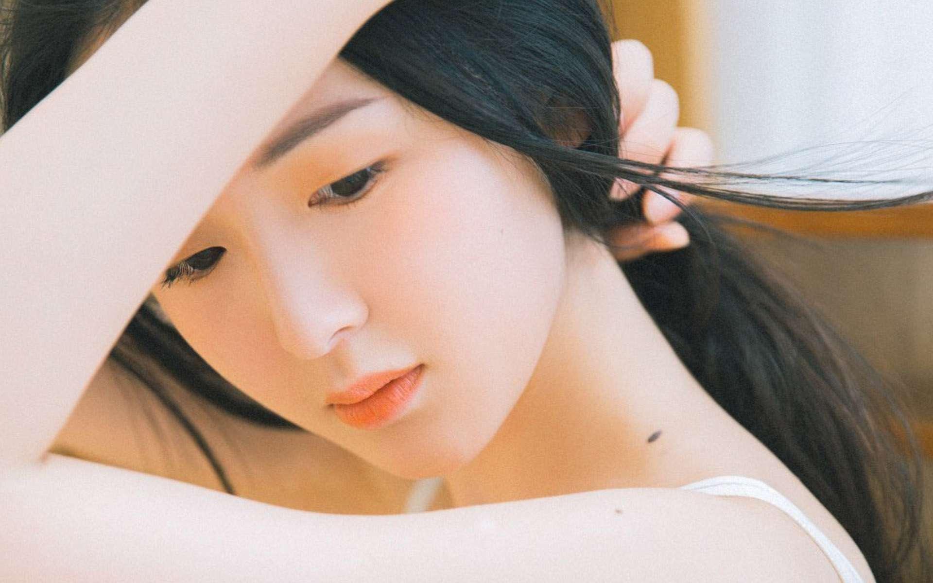 橄欖枝