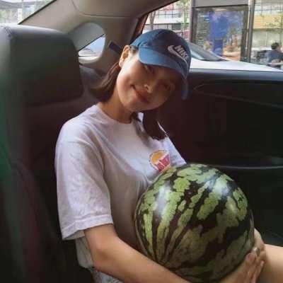 爆笑无人岛视频在线观看国语高清