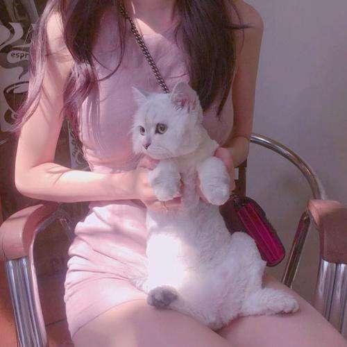 猴娃