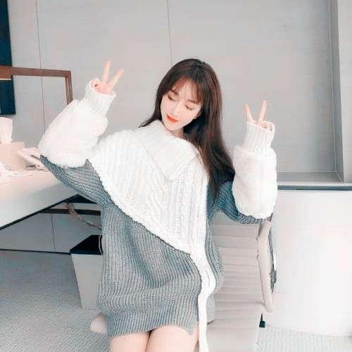 丹君子