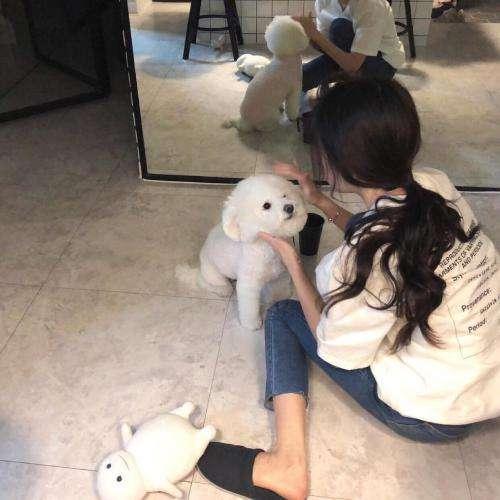 又怎么了