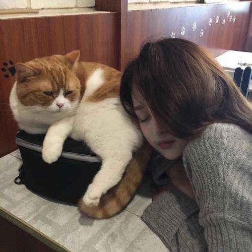 傅總心也太大了