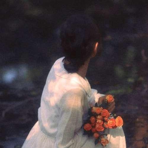 美女插