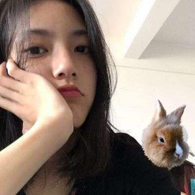 找一頭熊