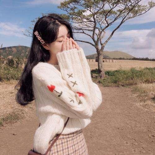 豬八戒背媳婦