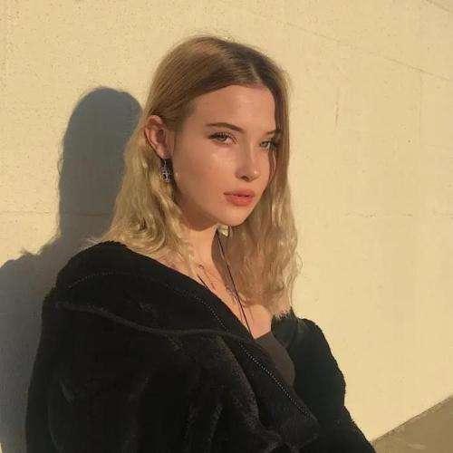 好鳥好世道