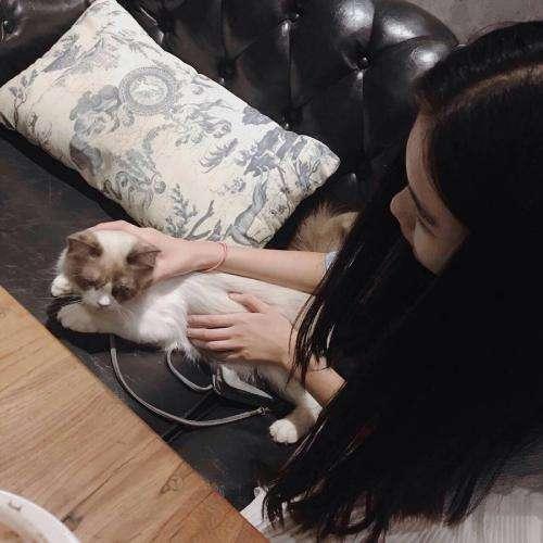傳靈塔的應對