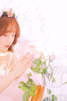 這花貓