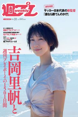 魔氣碎片？