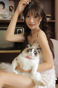 小野貓(六)