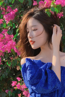 花不同與來人