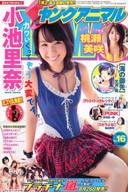 須知黃雀奈君何——翟嗣宗（中）
